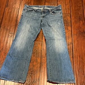 American Eagle Outfitters Light Blue Flare Jeans